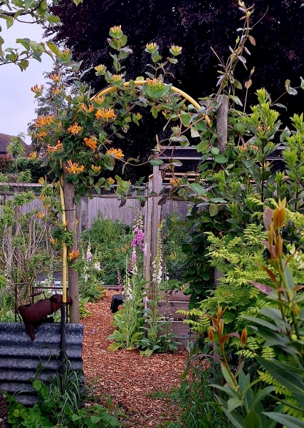Gabrielle's Allotment